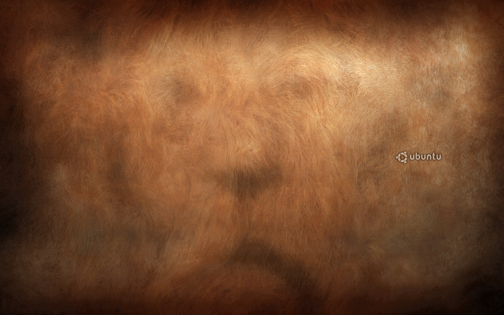ubuntu-lion-face-1680_2.jpg