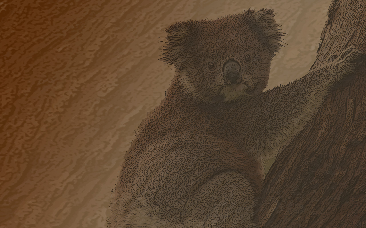 koala bark v1.2.jpg