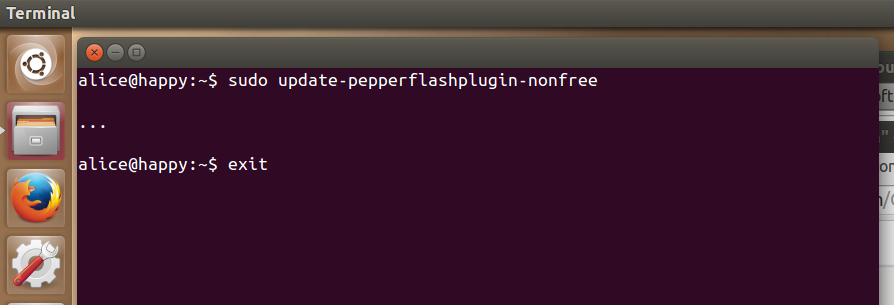 run-flash-installer.png