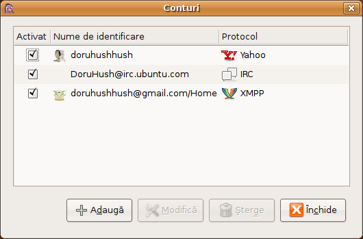 administrare-conturi-pidgin.png