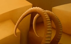 background_08-10_ibex_horns_tn.jpg