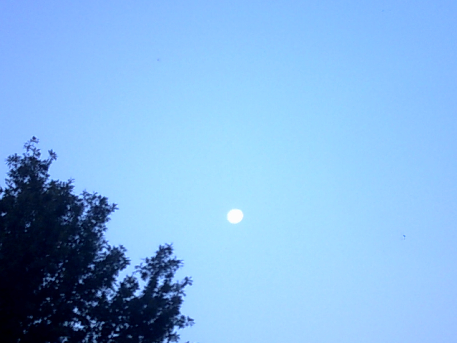 tc_photo_moon_and_the_sky.jpg
